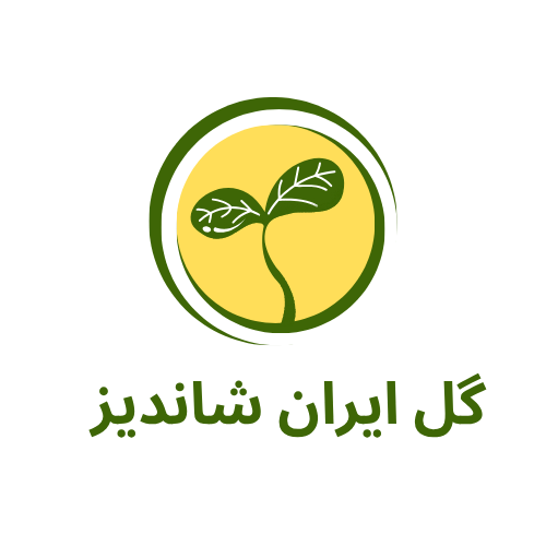 گل شاندیز