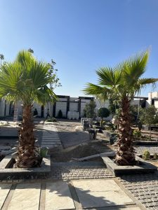 IMG_20251030_115439_244
