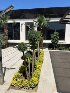 IMG_20251030_115453_025